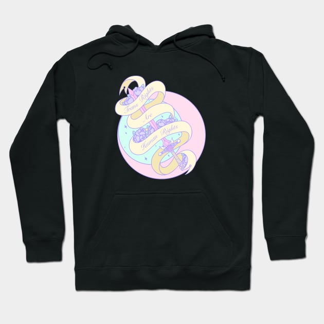 Trans Rights Are Human Rights Hoodie by Cosmic Queers